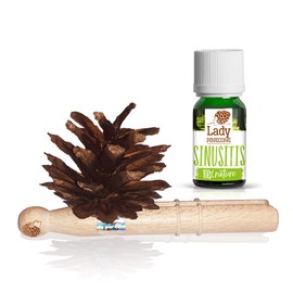 Lady Pinecone - aromatherapy kit in the car with 1 natural essential oil (GULF - green, VERTICAL ventilation grille) [PS1-V-SIN]