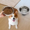 2 Pcs 0.5 Gallon Dog Bowls for Small Dogs -