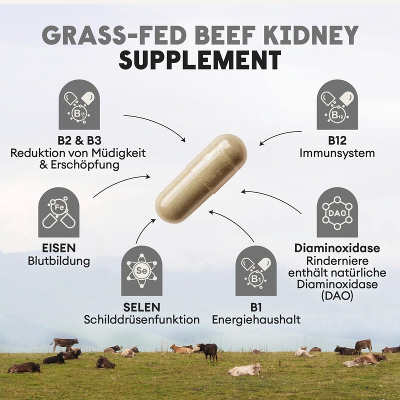 Grass Food Dried Cattle Kidney - 270 Capsules, Organically Certified
