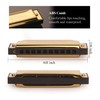 Randon Golden Harmonica Key of C with Case, 10 Holes