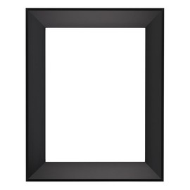 Expositions Open-Back Picture Frames for Paintings, Photos & Prints - with Black, 16x20" - Gallery Wall Frame - Eco-Friendly Renewal Core - Made in USA