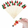 Coollooda Cocktail Picks, Fashionable, Bamboo Fruit Picks, Disposable Cocktail Pins,