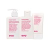Evo Mane Tamer Smoothing Trio Bundle