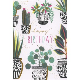 Pictura Succulent Plants in Black and White Pots with Gold Foil Accents Birthday Card