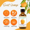 Sweet Orange Essential Oil - 1 fl oz (100% Pure