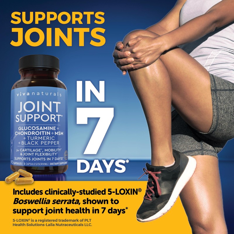 Viva Naturals Glucosamine Chondroitin MSM Joint Support Supplement, 90 Capsules