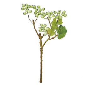 Tokyodo FM007582-zzz Artificial Flowers MAGIQ Green Smoke Berry Short, Frost Green, L 13.8 inches (35 cm)