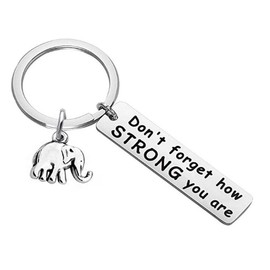 yaozeio Elephant Keychain Inspirational Encouragement Gifts Don't Forget How Strong You Are Uplifting Gift Keychain for Best Friend Family Animal Lover Birthday Christmas Gifts