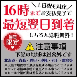 COACH Signature Flower Logo Mini Umbrella Compact Folding Umbrella Charcoal Multi CF363