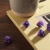 Akko V3 Lavender Purple Pro Keyboard Switch with Dustproof Stem
