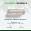 Olive Leaf Extract 500 mg 120 Capsules High Strength Extract