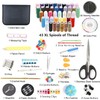 Sewing Kit, 226 Pcs Large Sewing Supplies with Case, 43