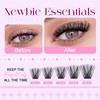 WENDY Cluster Eyelash Extensions Wispy Individual Eyelashes 10-18MM D Curl