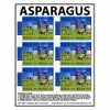 MyTinyWorld Dolls House Miniature Packaging Sheet of 6 Asparagus Cup a Soup