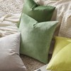 MIULEE Set of 2 Velvet Soft Solid Decorative Square Throw