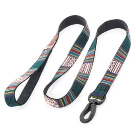 Embark Urban Dog Lead - Unique, Vibrant, Strong and Sturdy Nylon Dog Leads for Small Dogs, Dog Leads Medium Dogs and Dog Leads Large Breed Dogs, Heavy Duty Dog Leash - Dog Training Lead