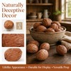 Healifty 20 X Mini Walnut Model Realistic Walnut Design Light