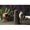 WILDLIFEGARDEN Wildlife Garden WG4443 DecoBird Forest Tree Runner - Hand