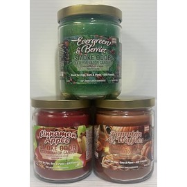 Smoke Odor Exterminator 13 oz Jar Candles Evergreen & Berries, Assortment (3) Includes Evergreen & Berries, Cinnamon Apple & Pumpkin & Waffles.