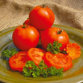 Organic Tomato Seeds, APPR. 100, Mountain Princess Tomato, Heirloom Vegetable Seeds, Certified Organic, Non GMO, Non Hybrid, USA