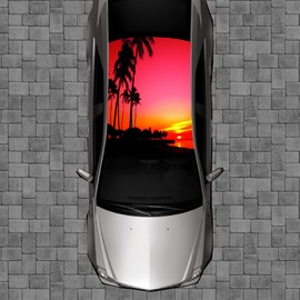 Sign Factory R103 PLAM Tree Trees Roof Wrap - Decal Decals Wraps Vinyl Wraps Art Poster Image Carbon Hood Car Truck Fiber Hood