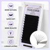 Arison Lashes Easy Fan Lashes, 0.07 D Curl, 13-16mix Eyelash