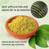 Ancient Veda Henna Hair Color Pink (60 g / 2.11