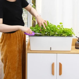 Self Watering Planter – Water Level Indicator, Plant Pot, Succulent Pot