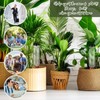 SiliFine 8 Pack Plant Watering Devices with 4 Pcs Terracotta