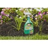 Ortho 0438580 Grass B Gon Garden Grass Killer Ready-to-Use, 24-Ounce