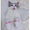 EFYUE Cat Toy Mini Handcuffs Cat Novelty Toy Pink Metal