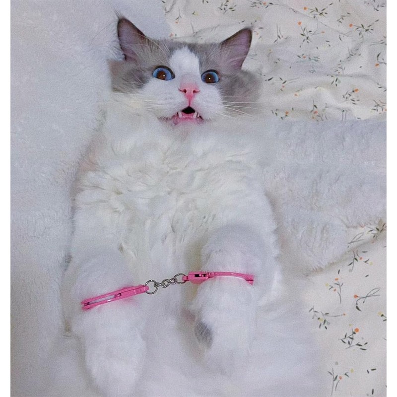 EFYUE Cat Toy Mini Handcuffs Cat Novelty Toy Pink Metal