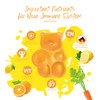 IvyBears Boost Immune Gummies | Daily Immune Support | Vitamins