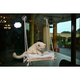 Cat Window Perch - Bed for Cats Inside - Solid Wood Seat, 4 Strong Suction Cups, Soft Cushion - Rustic Indoor Pet Shelf