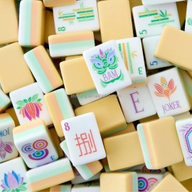 Custom Luxury 4 Tier American Mahjong Set Includes 4 Sets of Instructions and 160 Acrylic Mahjong Tiles for Family GatheringsColor: yellow-6