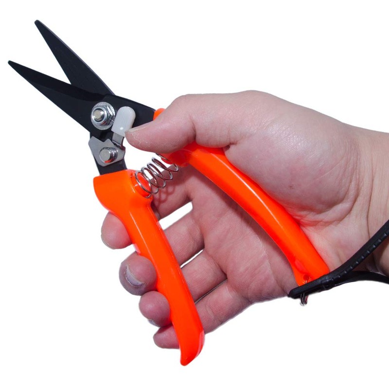 Professional Sheep and Goat Claw Shears 8" Red Black Serrated