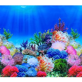 XCNO Aquarium Background Poster Fish Tank Wallpaper, Double-Sided, 16"x 33"