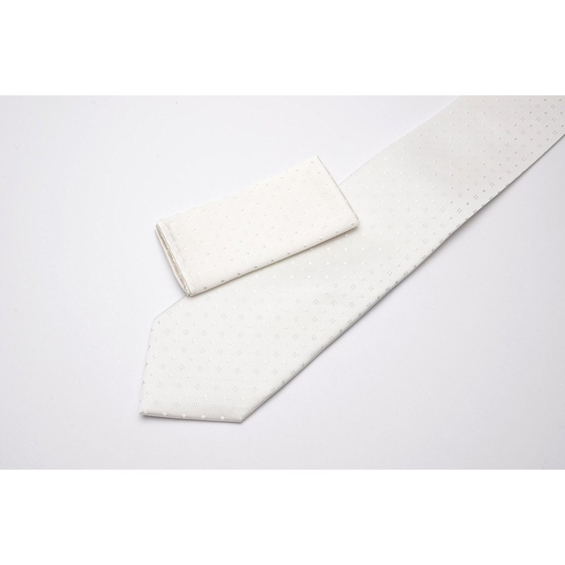 Enrico Gigli Formal Silk Necktie Pocket Square Set -