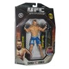 Jakks Pacific UFC Deluxe (2009) Chuck Liddell Series 1 Action