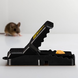 Relaxdays Mouse Traps Set of 8 Reusable Mouse Traps Hygienic & Toxin-Free Plastic Black