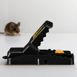Relaxdays Mouse Traps Set of 8 Reusable Mouse Traps Hygienic & Toxin-Free Plastic Black