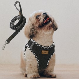Aiminto Denim Dog Harness & Leash Set, Breathable Mesh Material, Lightweight, Reflective Material on Chest Harness - For Small Dogs (Set of Harness and Leash (Black), S Chest Range 14.2-16.5 inches)