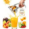 Hand Juicer Lemon Squeezer Press Manual Fruit Juice Metal Handheld
