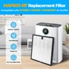 Scienraise 1 Pack HAP603 Replacement Filter Compatible with ECOSELF HAP603