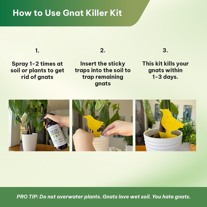 Kate's Home & Garden Plant Spray for Insects & Getting
