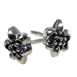 [Silver 925 2 Piece 1 Pairs] Lily Earrings CZ Men's Women's; amthtew – 039