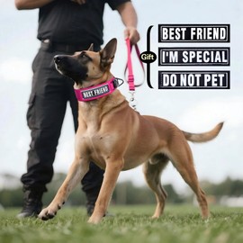 Comfluxe AirTag Dog Collar, 2" Wide Tactical Military Dog Collar with AirTag Holder & 3 Pet Patches, Soft Padded Reflective Waterproof Nylon Collar with Metal Buckle for Medium Dogs (Hot Pink, M)
