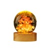 JFTOSALE Red Daisy Decorative Ball Night Light - 2.4 Inch