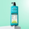 Dr. Groot 닥터그루트 스칼프솔루션 비듬두피케어 정수리냄새제거 샴푸 700ml Dr. Groot