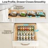 iSPECLE 4 Pack Spice Drawer Organizer - Low Profile Rack